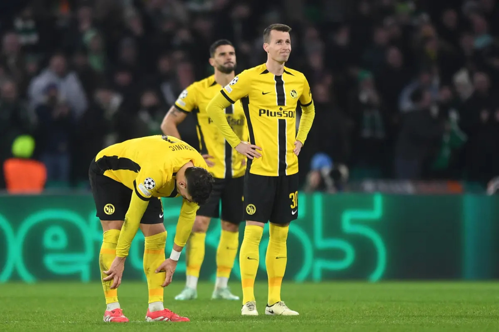 Γκρασχόπερς - Γιουνγκ Μπόις προγνωστικά